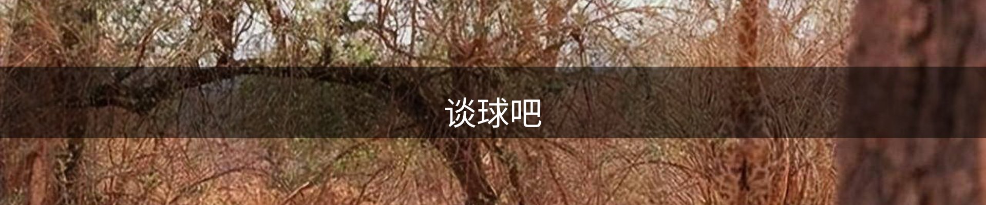 谈球吧